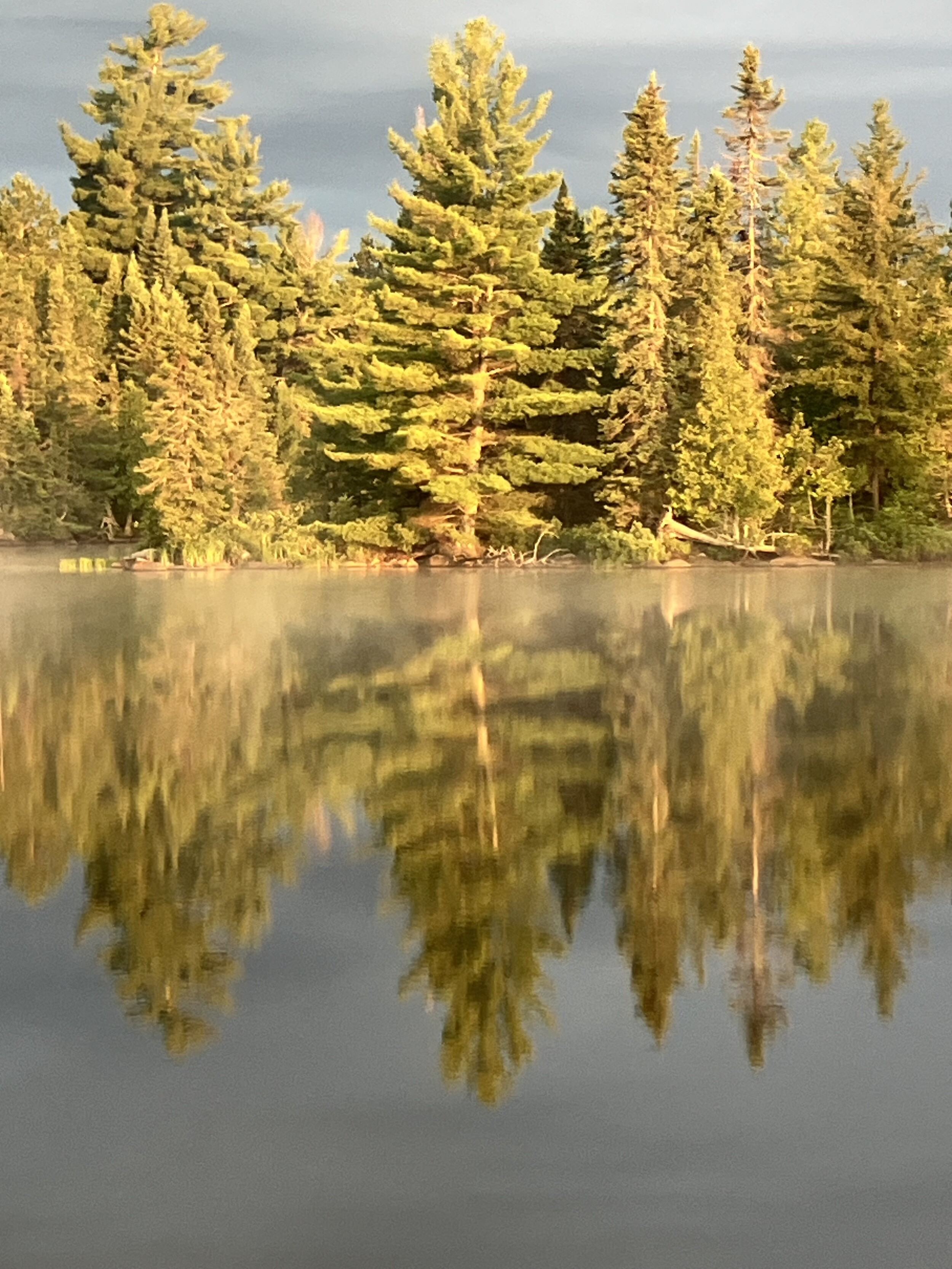 Reflections