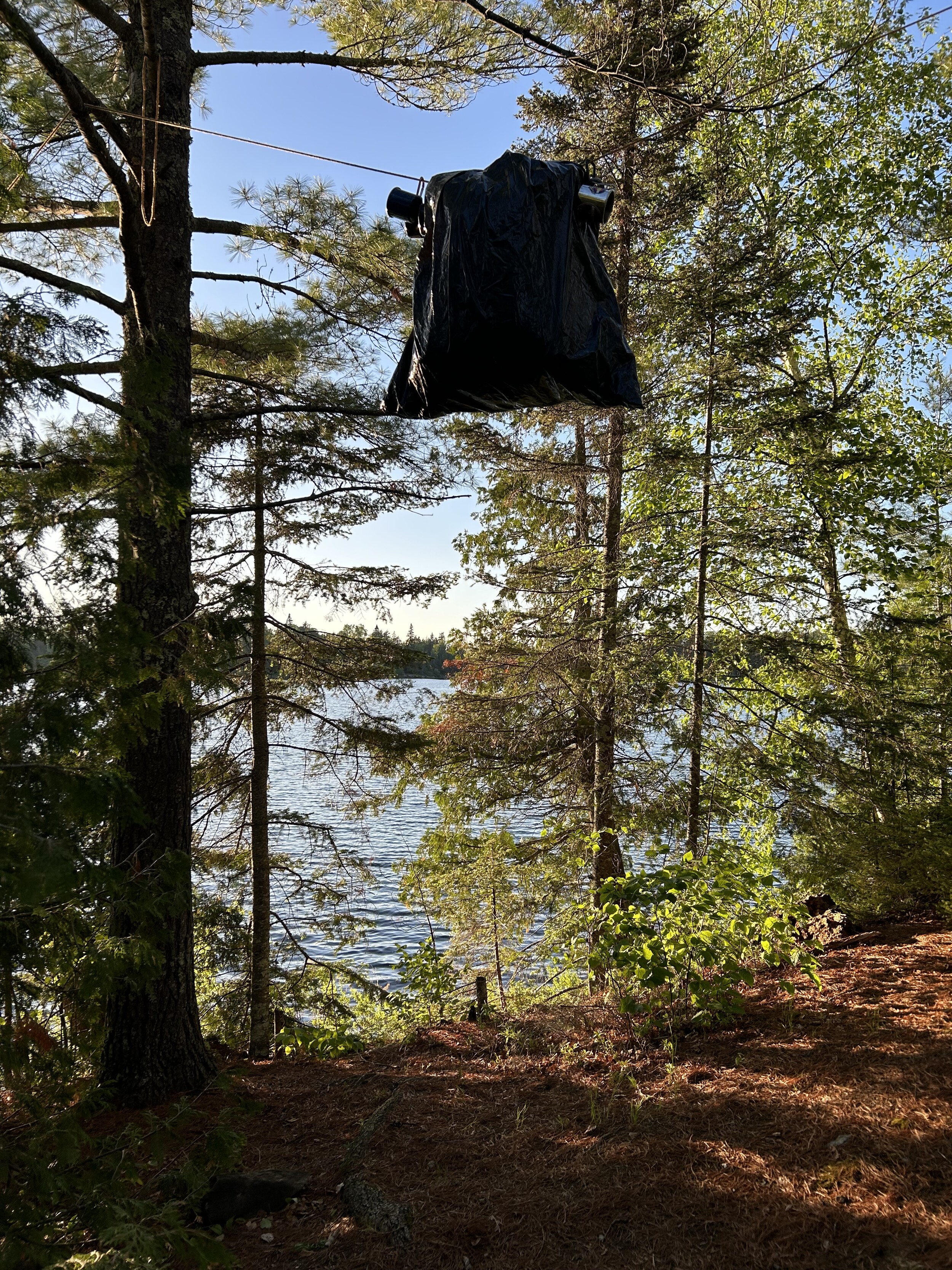 Bear bag