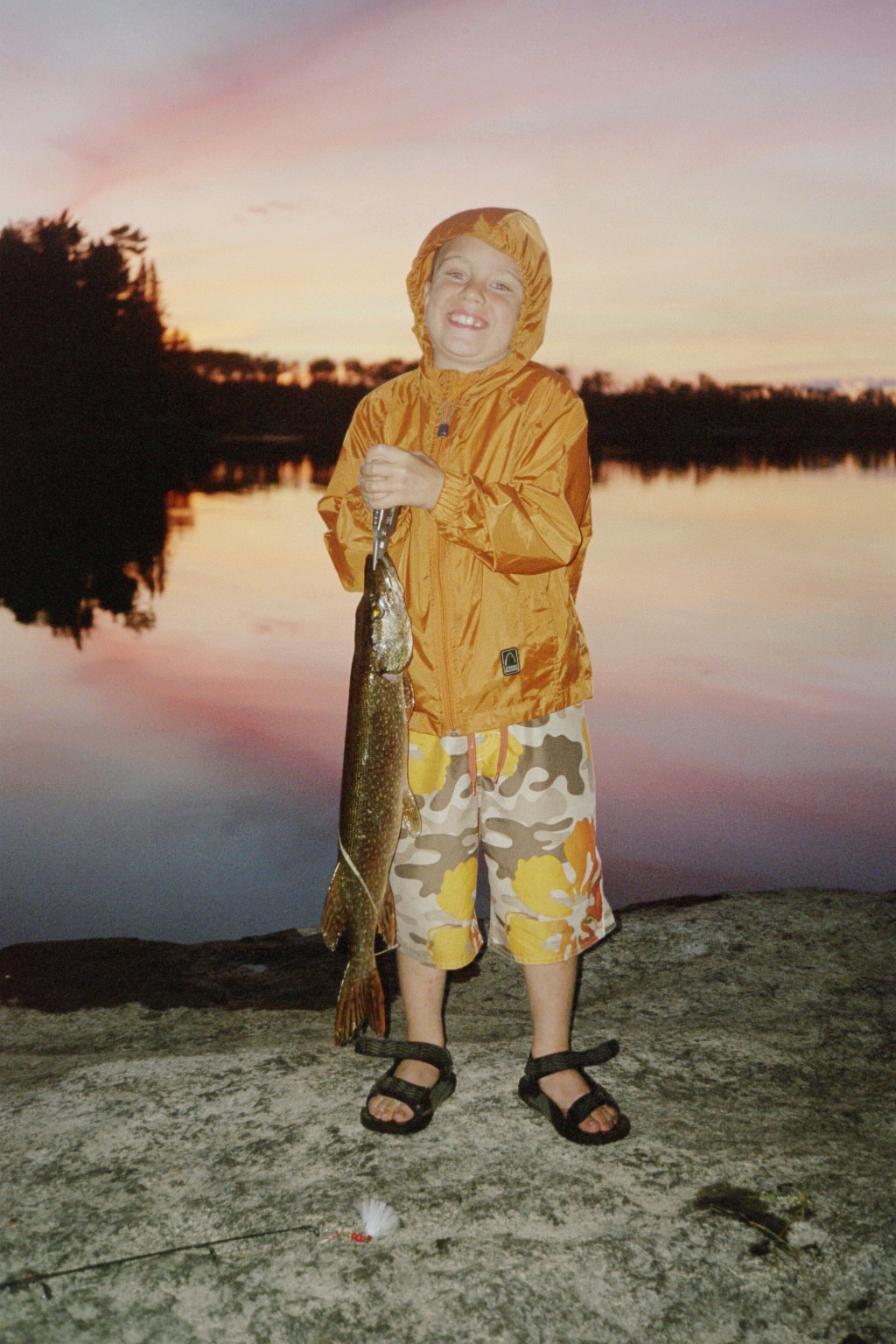 Davins Fish