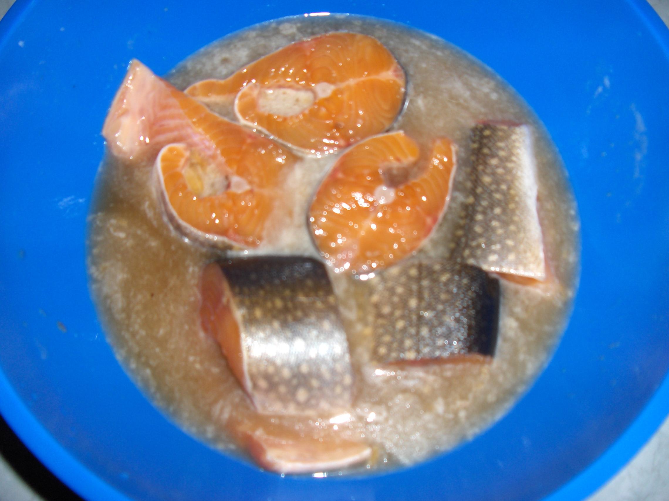 BWCA Smoked fish Boundary Waters Fishing Forum