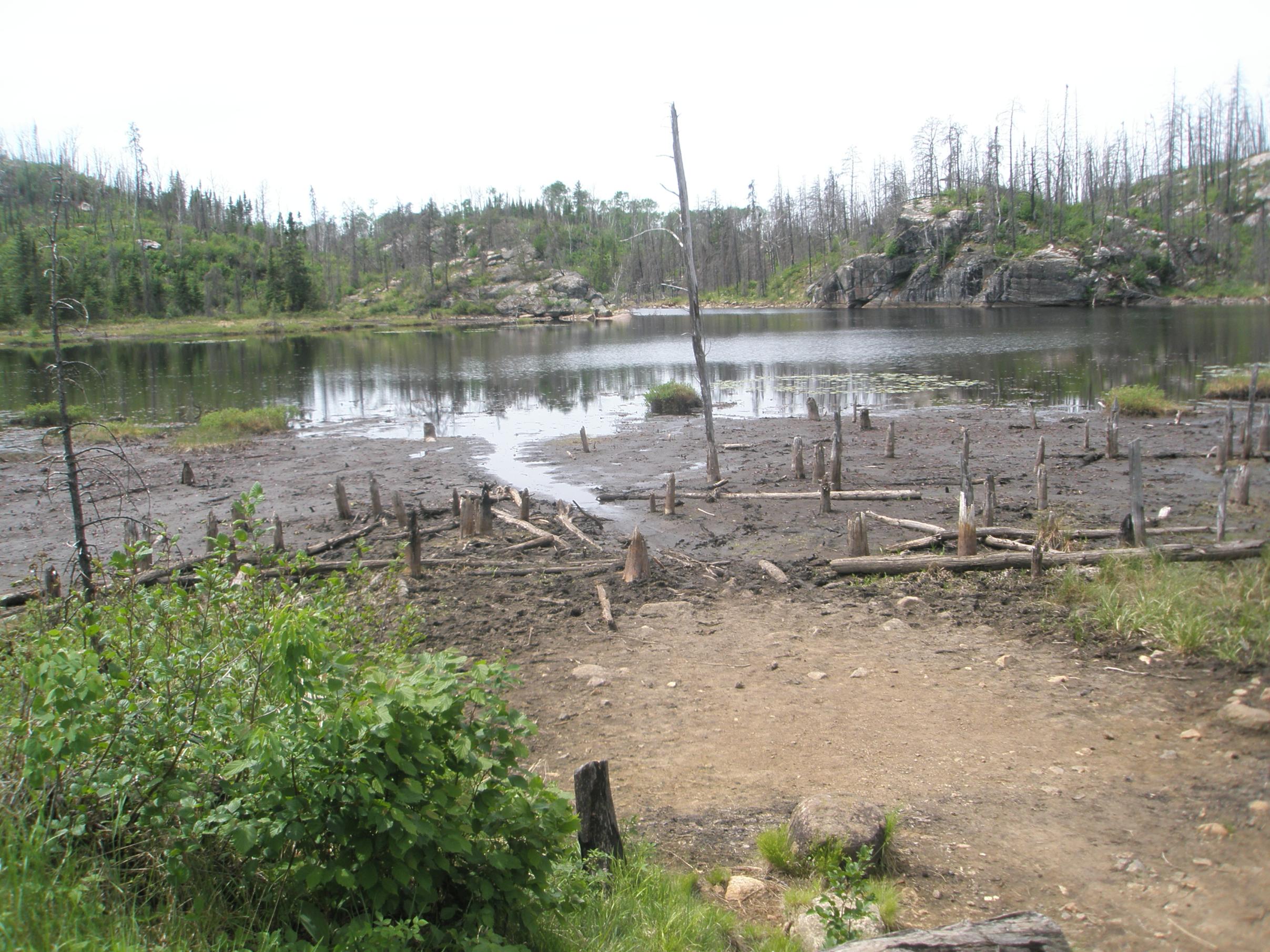BWCA Ugliest lake Boundary Waters Trip Planning Forum