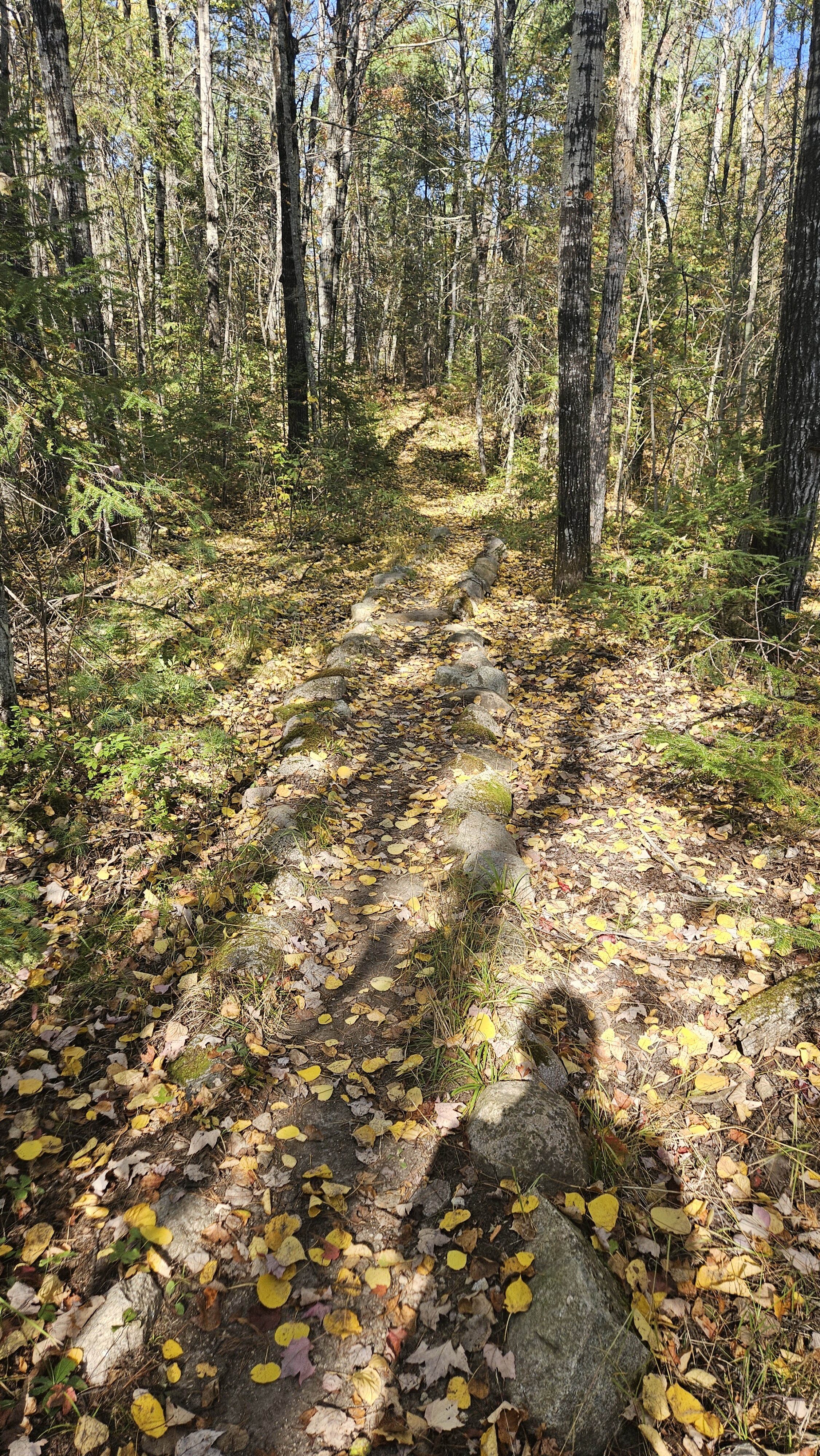 Stuart River EP portage