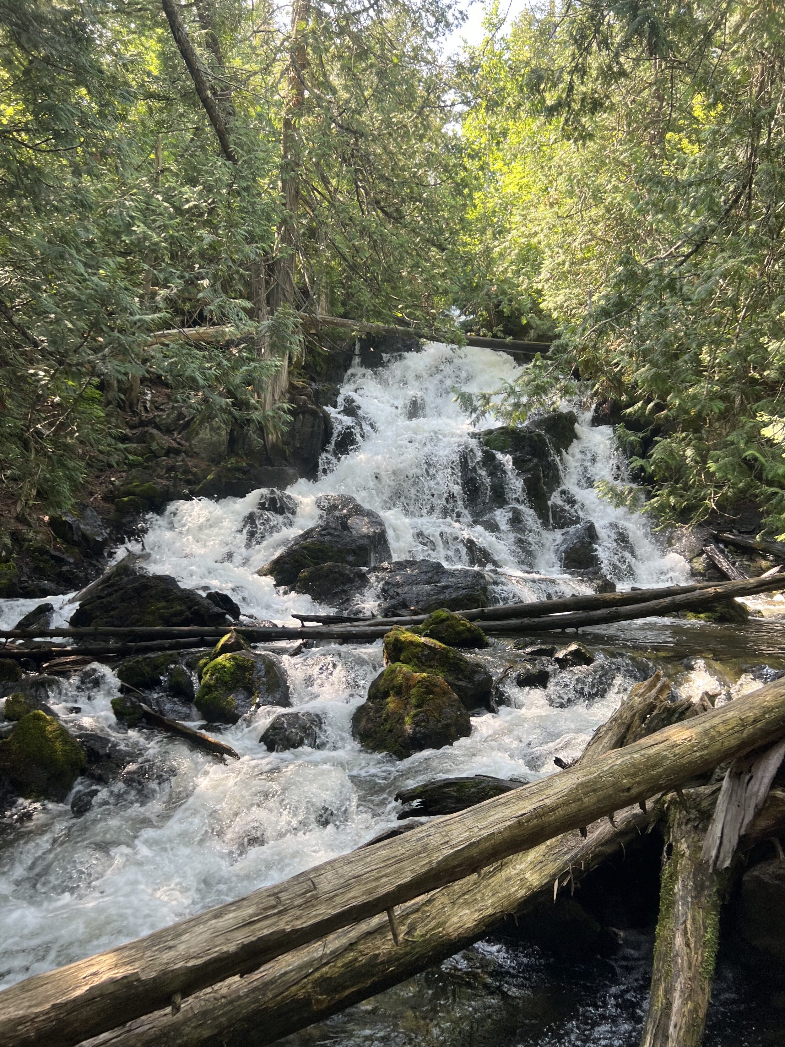 Eddy falls afternoon