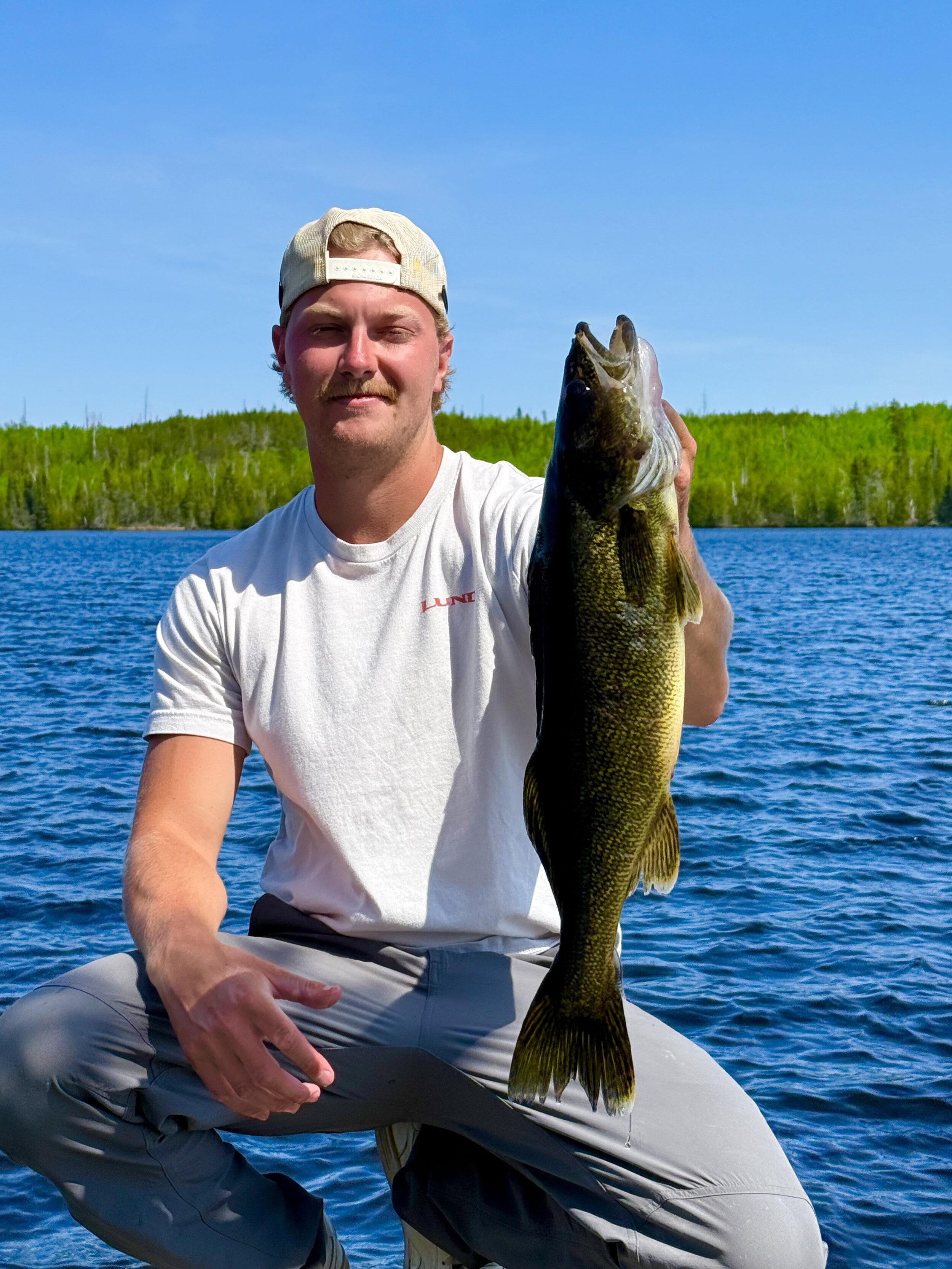 Clove Lake walleye