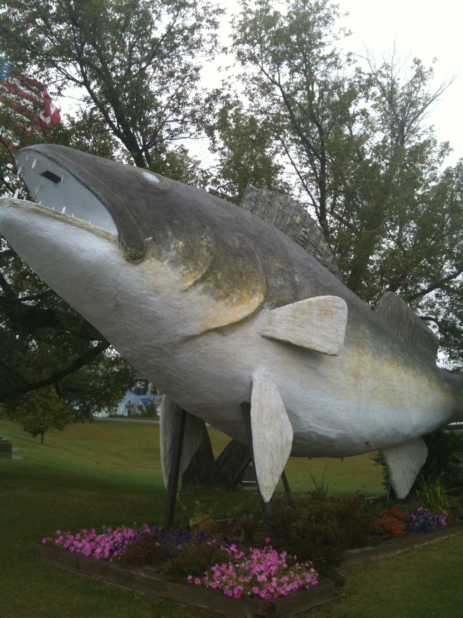 BWCA Best fishing lake for a base camp trip out of Ely Boundary Waters