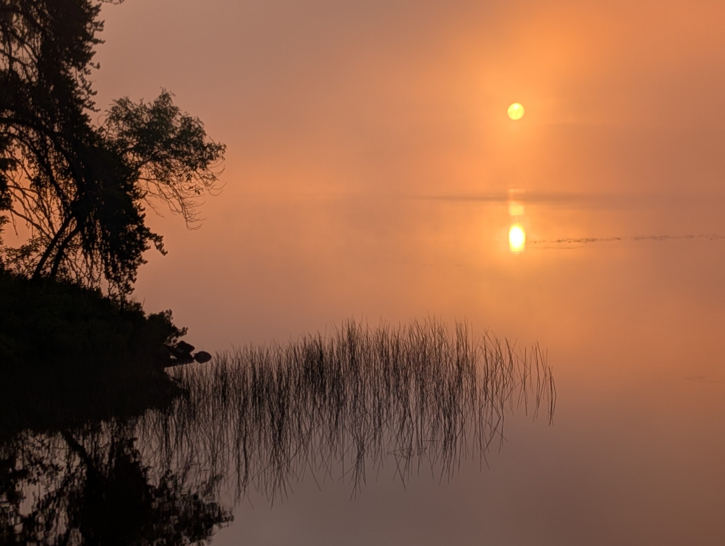 Foggy sunrise on Basswood