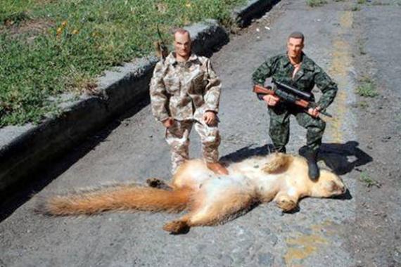 Trophy chipmunk