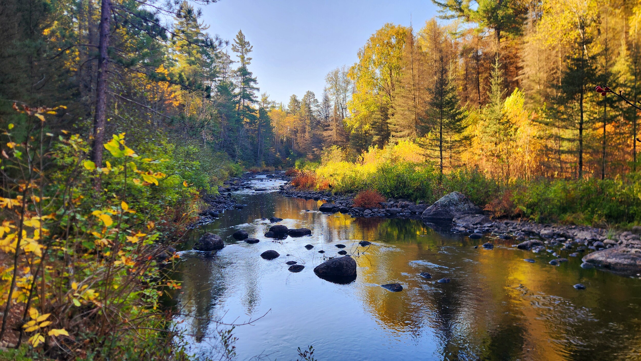 Moose River - October 2025