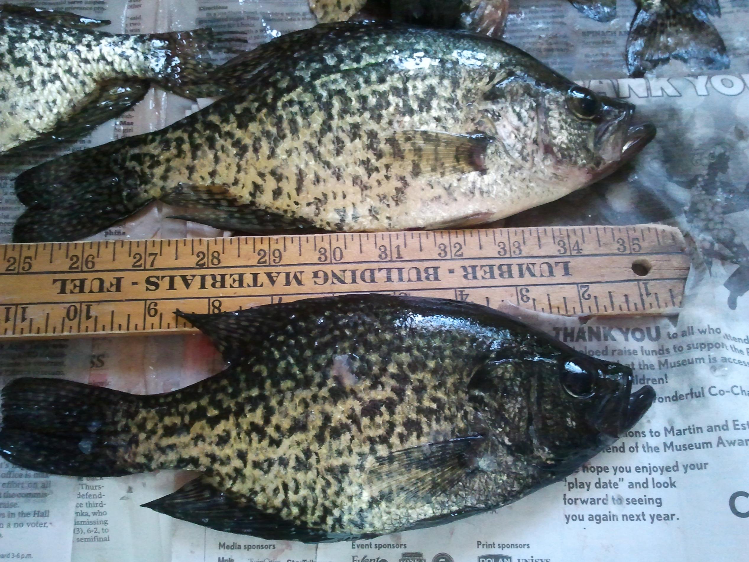 BWCA pies in the box Boundary Waters Fishing Forum