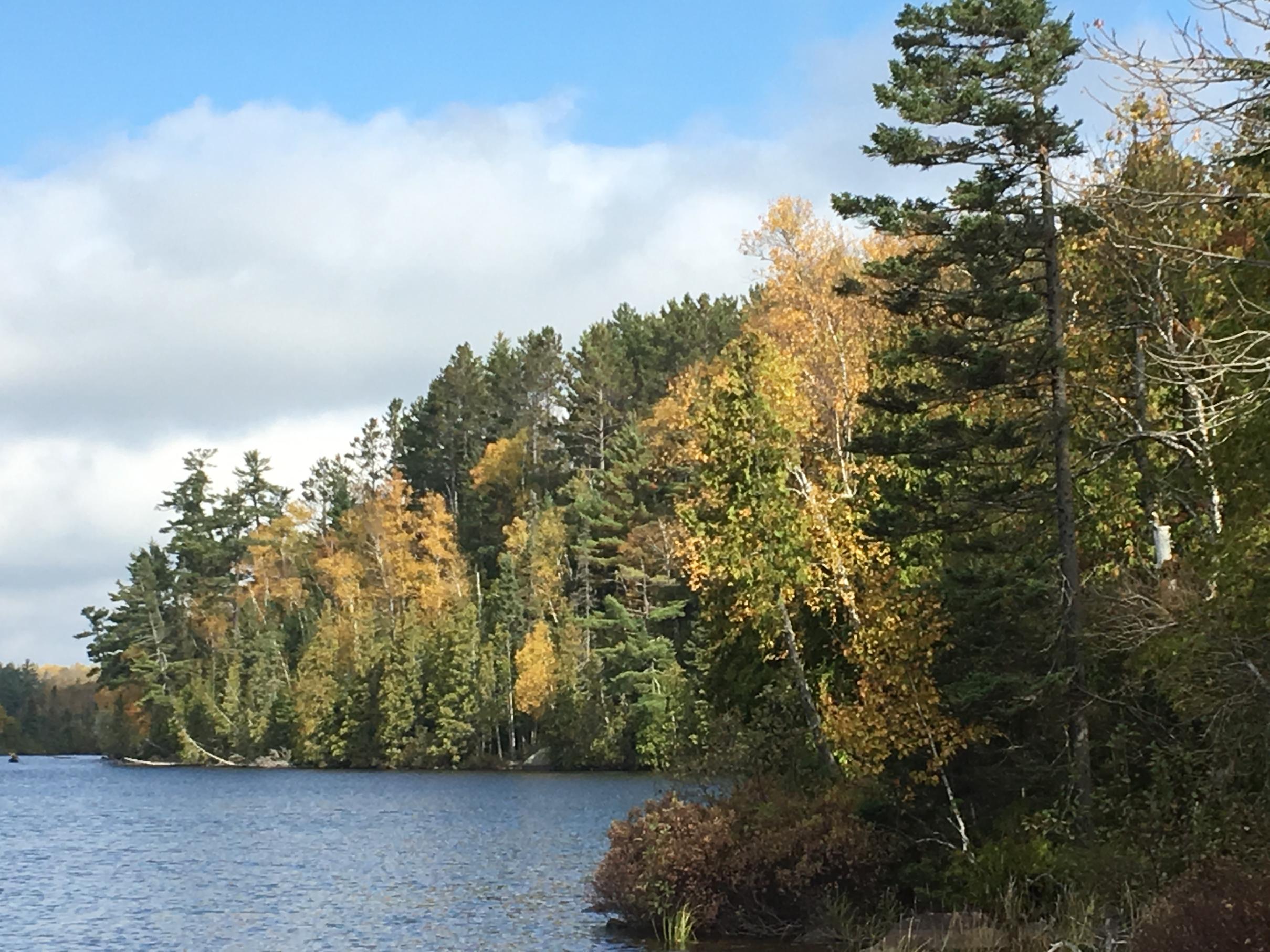 BWCA Fall colors have peaked along the BWCA Boundary Waters Listening ...