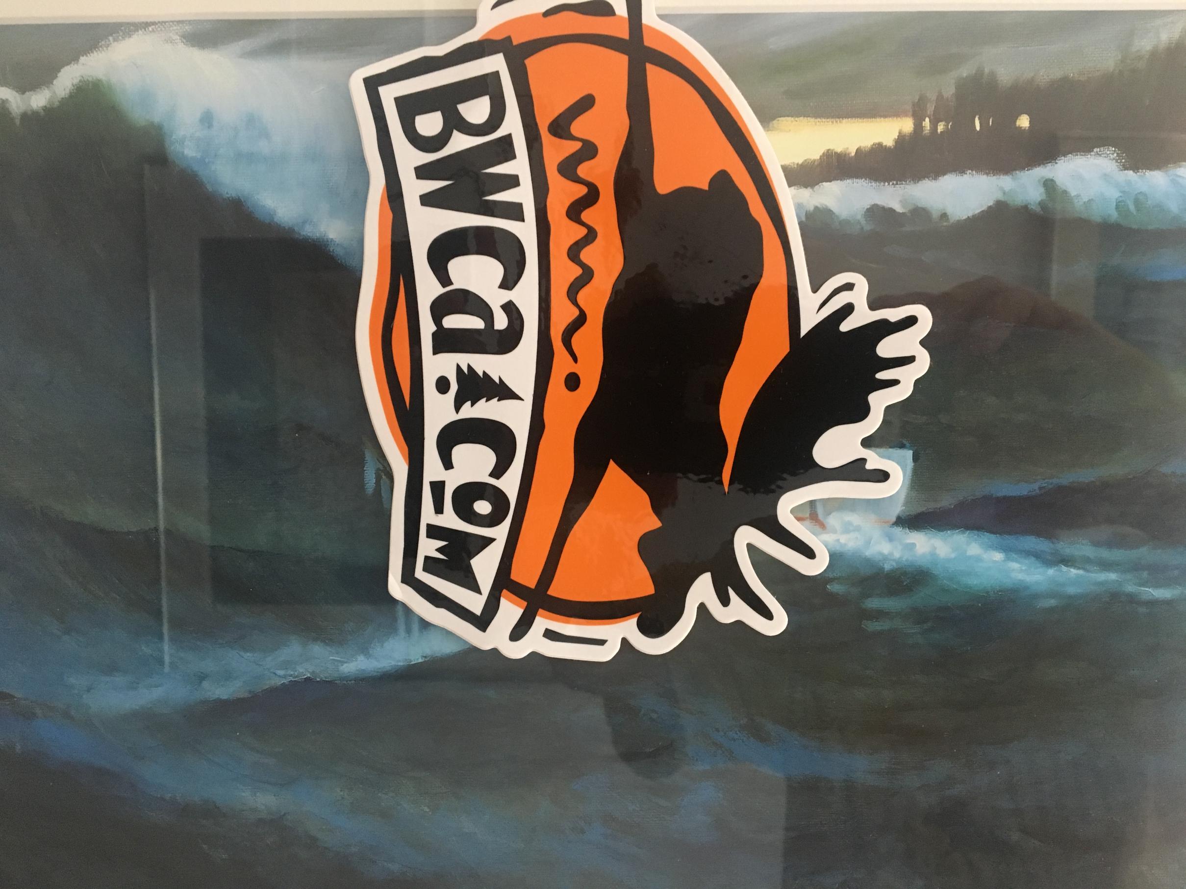 BWCA Real flying moose! Boundary Waters Listening Point General