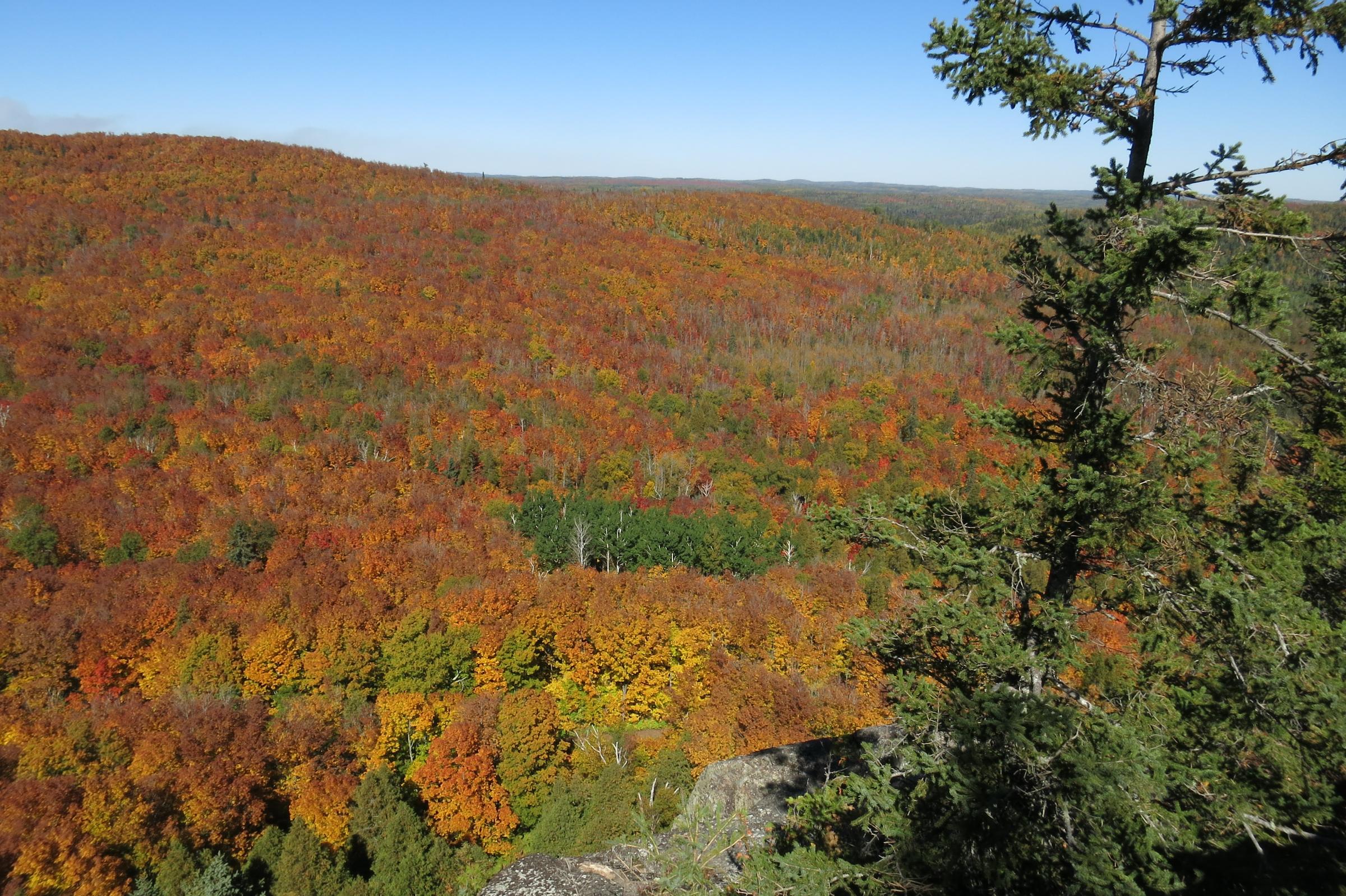 BWCA A few more Fall Colors Boundary Waters Listening Point - General ...